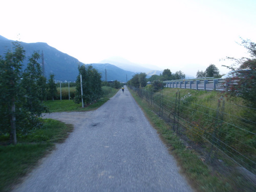 Apple Orchard Valley of the Adige River.